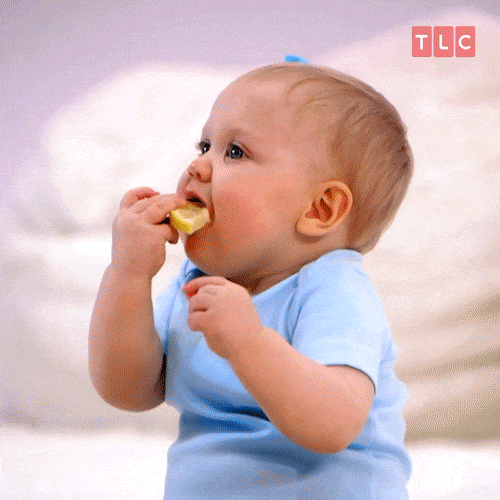 Baby Eating Gifs Get The Best Gif On Giphy