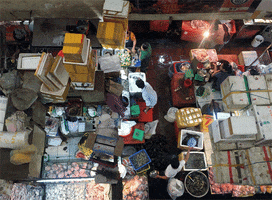 Phnom Penh GIF