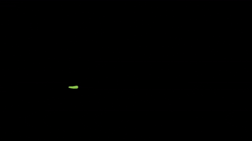 Creative Park GIF