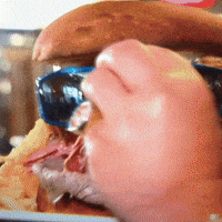 Guy Fieri Lol GIF Guy Fieri Lol GIF