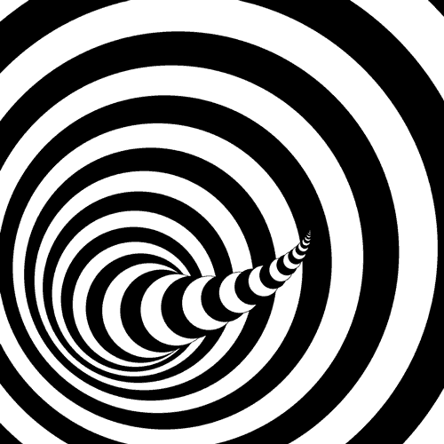 Black And White Tail GIF by Feliks Tomasz Konczakowski - Find & Share on GIPHY