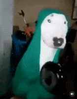 GIF