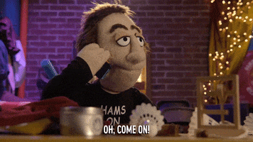 Comedy Central What GIF by Crank Yankers