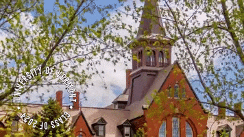 Class Of 2024 Uvm GIF by University of Vermont