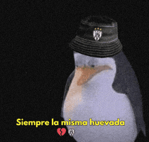 Soccer Independiente Del Valle GIF