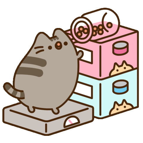 pip the cat pusheen