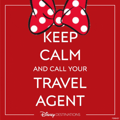 Disney Travelagent GIF by Real Family Travels