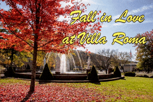 Villa Roma Resort GIF