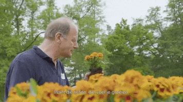 Flower Smell GIF by Stad Genk