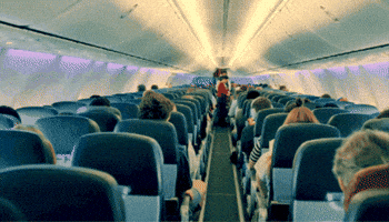 GIF by Inflight Feed
