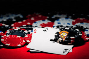 먹튀 GIF