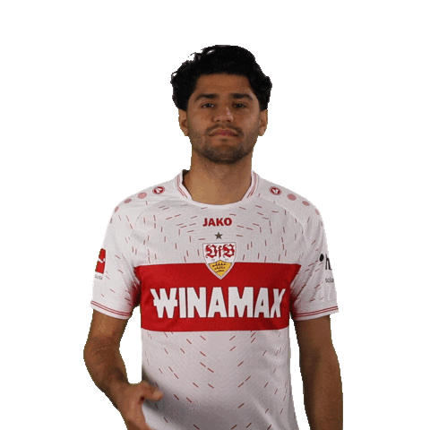 Mahmoud Dahoud Facepalm Sticker by VfB Stuttgart