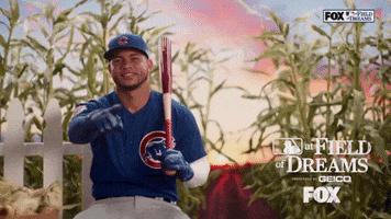Field Of Dreams Baseball GIF by MLB