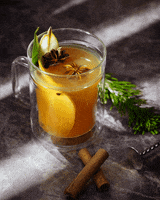 National Hot Mulled Cider Day GIF by MONIN