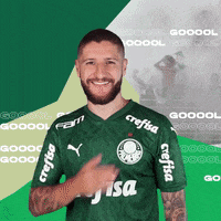 Ze Rafael Puma GIF by SE Palmeiras