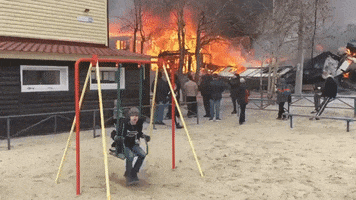 This Is Fine GIF by MOODMAN