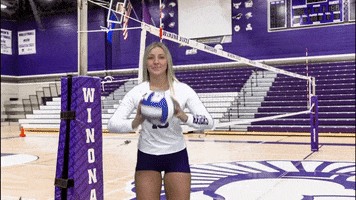 Volleyball GIF by WSUWarriors
