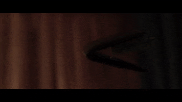 Blood Wallet GIF by The Lumineers