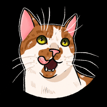 Cats Gingercat GIF by TheBetterCat