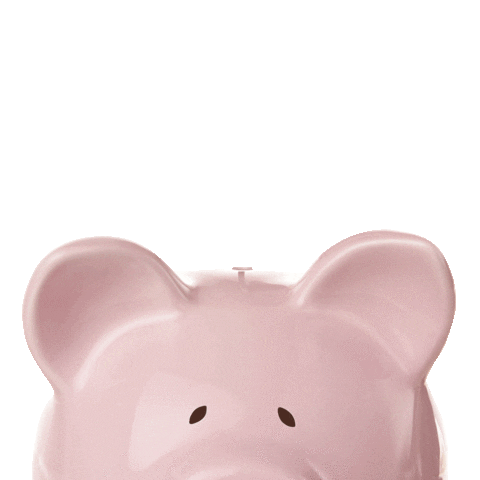 Save Personal Finance Sticker by Meghan | FamilyFinanceMom