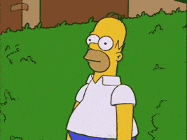 The Simpsons gif. Homer is frozen, standing very still, with a blank expression on his face. He slowly slides himself backwards into a bush to disappear and hide.