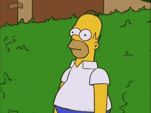 Homer Simpson Reaction GIF by reactionseditor