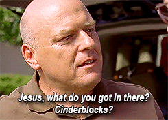 hank schrader