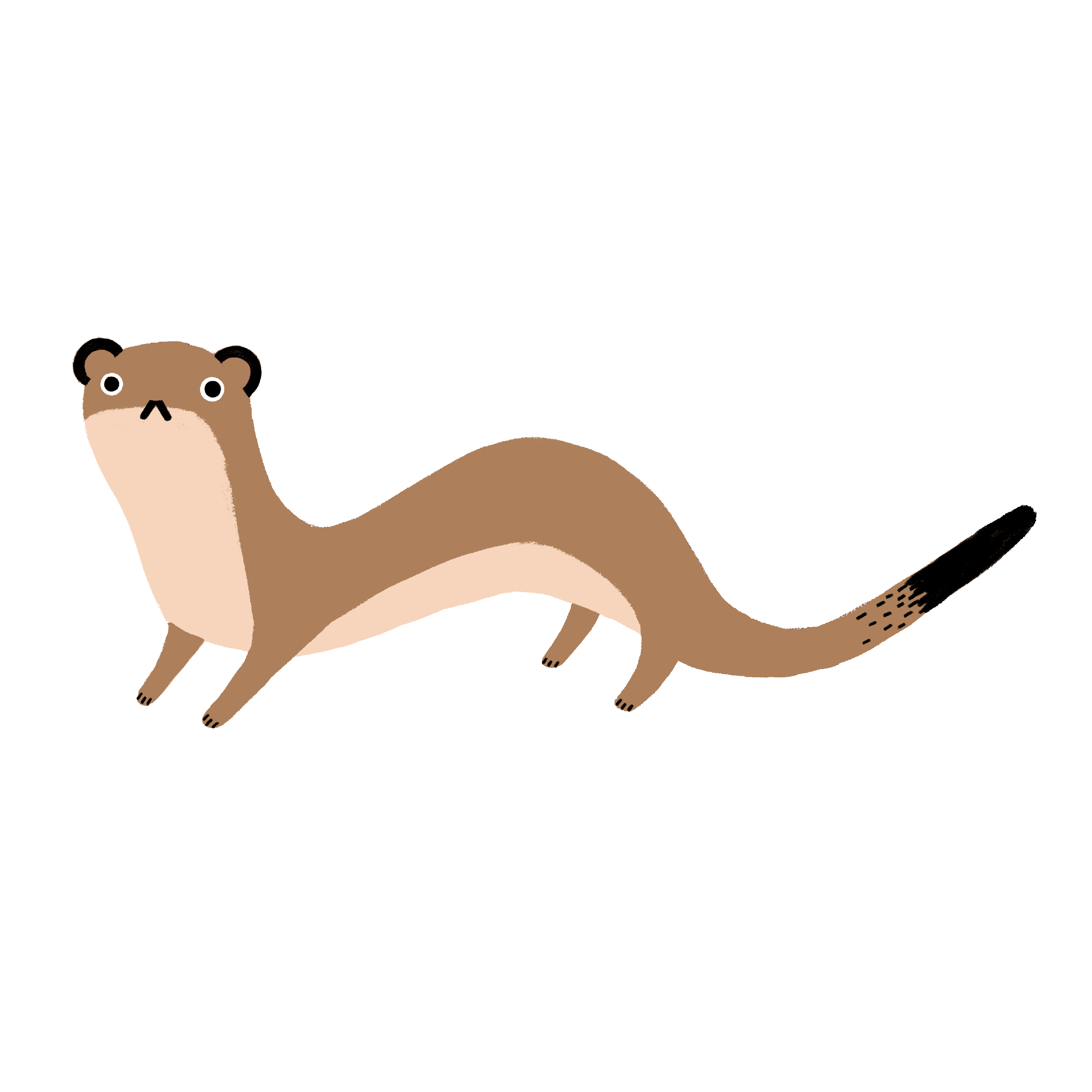 Weasel Sticker by Sophie Corrigan for iOS & Android GIPHY