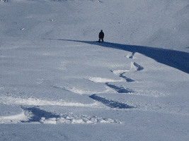 Ski GIF