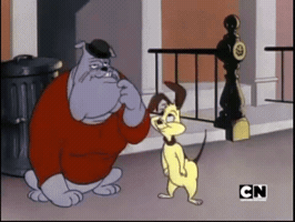 Meme GIF