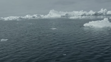 ocean worldservice GIF by NOWNESS