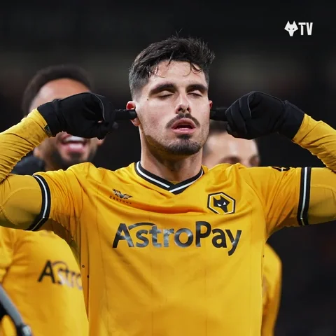 Celebrating Premier League GIF by Wolves