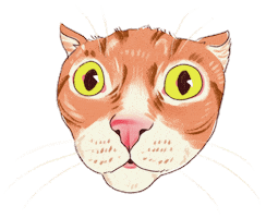 Surprised Big Eyes Sticker