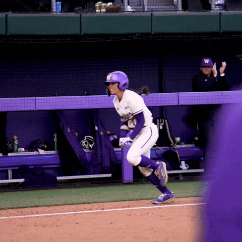 GIF by Washington Athletics