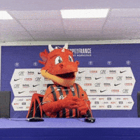 Coupe De France Football GIF
