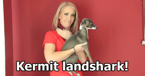youtube content creator Jenna Marbles holding her dog Kermit making a gesture to resemble a shark's fin, image text says "Kermit landshark"