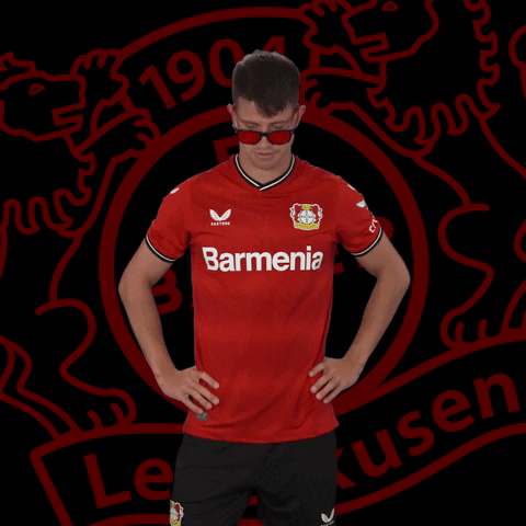 Summer Sunglasses GIF by Bayer 04 Leverkusen