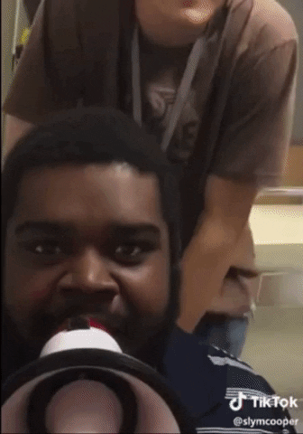 The Birds Work For The Bourgeoisie GIF