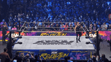 Ronda Rousey Wrestling GIF