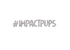 Impactpups Sticker by Impact Dog Crates