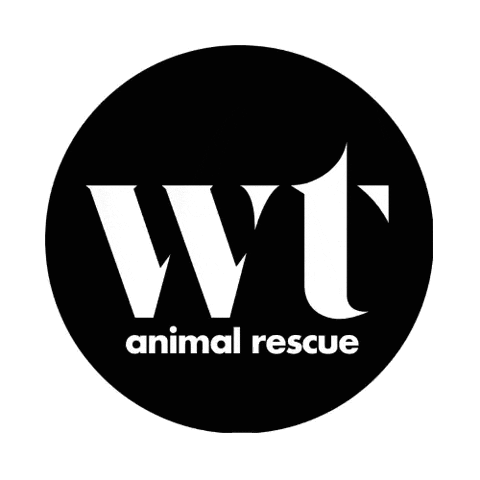Wolf Trap Animal Rescue Sticker