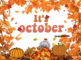 Halloween Love GIF by The SOL Foundation