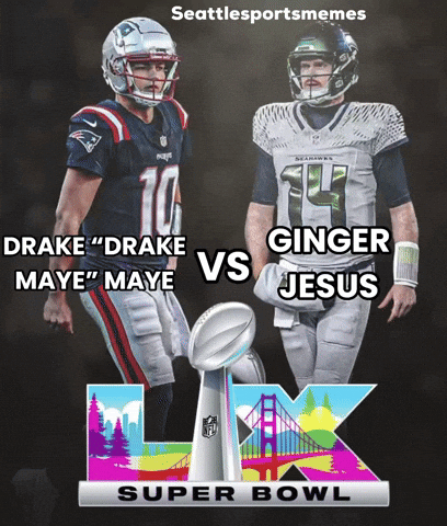 Super Bowl Football GIF