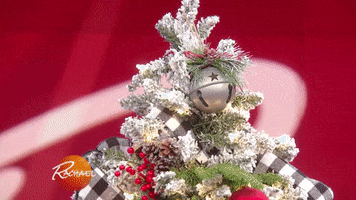 christmas tree GIF by Rachael Ray Show
