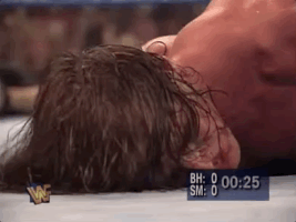 Shawn Michaels Wrestling GIF by WWE