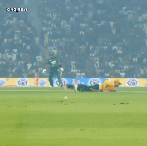 Babar Azam Goat GIF