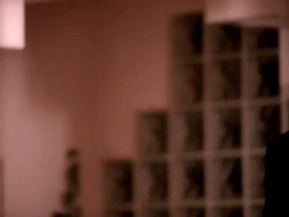 Prince The Holy River GIF