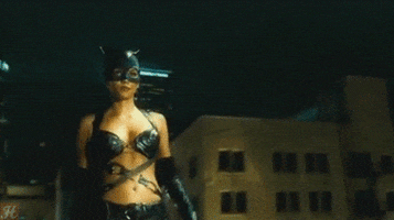 Dc Comics Catwoman GIF