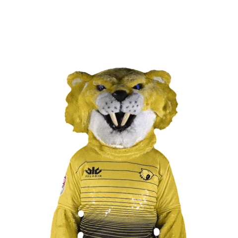 Surprised Scratch Sticker by Houston SaberCats Rugby