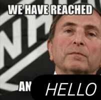 Gary Bettman Hello GIF